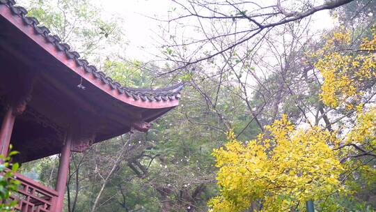 杭州玛瑙寺连横纪念馆两岸文化交流4K素材