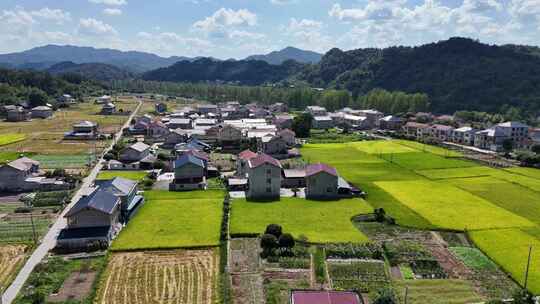 秋天美丽乡村田园金黄稻田农业种植航拍