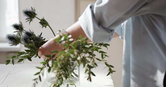 花瓣植物植物