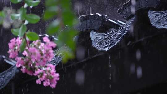 下雨天紫薇花和屋檐瓦片