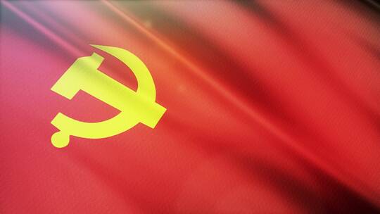 中国共产党党旗真实布料感