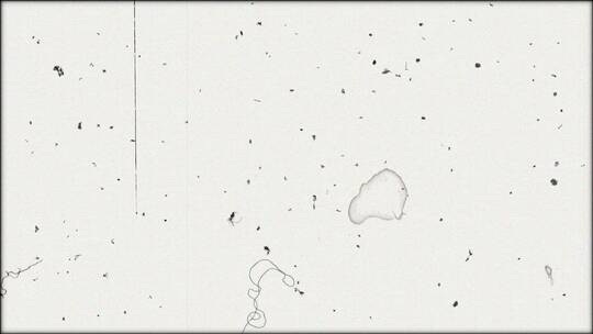 老电影雪花点底噪视频素材模板下载