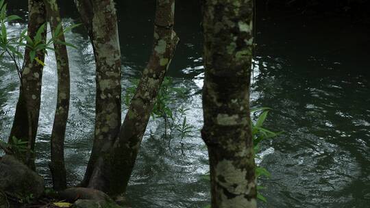 清澈小溪山泉水河流流淌大自然