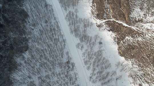 青海互助龙王山树木道路航拍视频