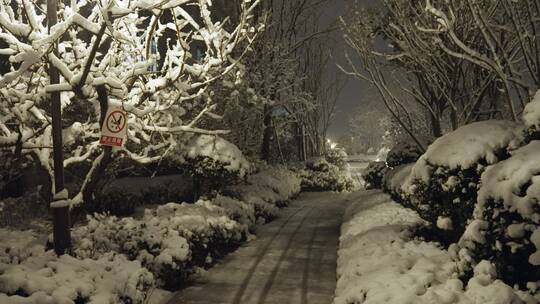 小区下雪夜景唯美飘雪