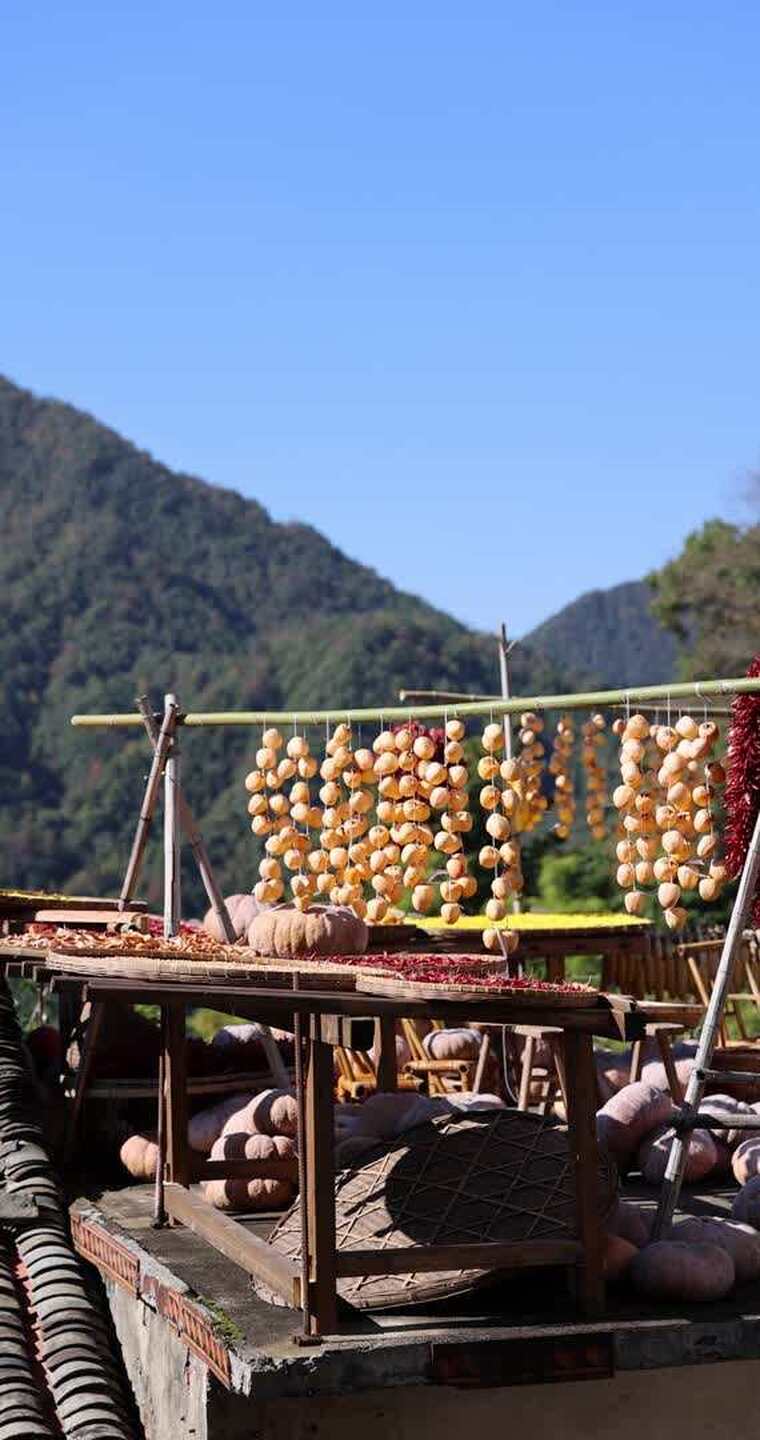 江西婺源篁岭美丽乡村晒秋丰收的喜悦