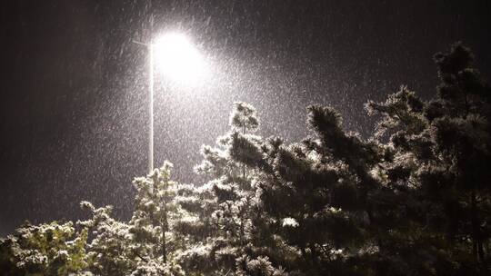 风雪夜路灯下飞扬的雪花与松枝视频素材模板下载