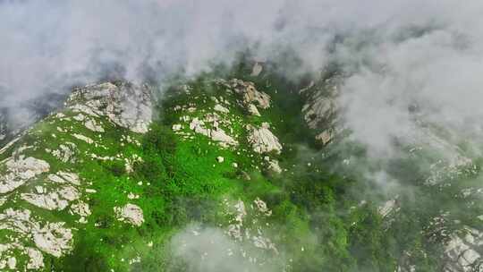 青岛小珠山