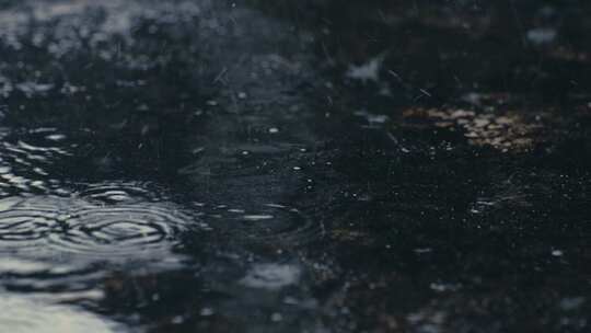 阴天地面雨滴