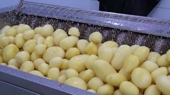 土豆全自动削皮中央厨房净菜加工生产线切丁