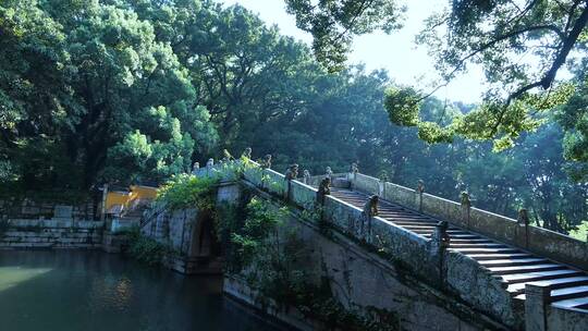 浙江舟山普陀山法雨寺视频合集