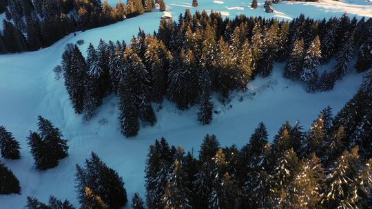 冬季滑雪场鸟瞰图