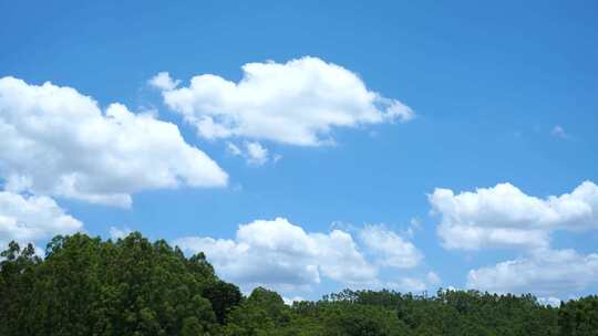 森林天空树林蓝天白云延时大自然风景