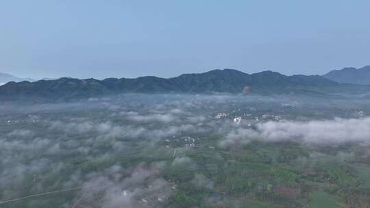 海南白沙茶园清晨平流雾航拍