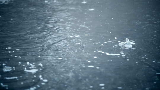 下雨地面水滴空镜