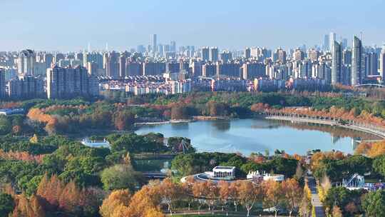 上海世纪公园秋景  上海秋景