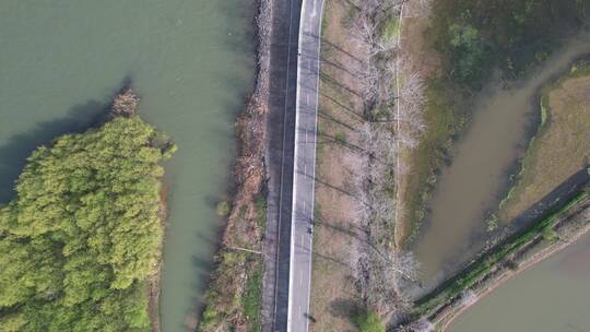 航拍江苏扬中利民村春天长江边堤岸环岛路