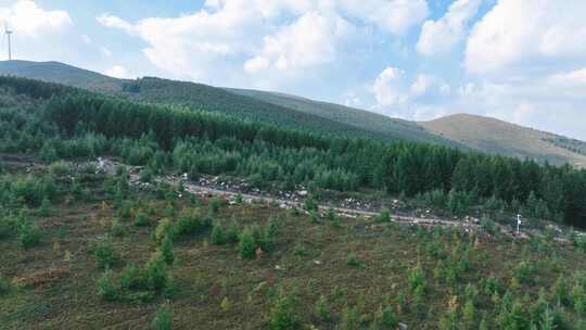 崇礼山林间道路与茂密树林景观