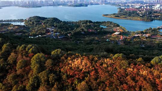 湖南洞庭湖风光带岳阳楼风景区航拍