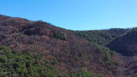 湖泊 水库 湿地公园 青山绿水