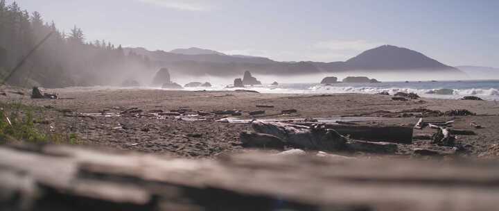 俄勒冈州，海岸，海洋，海滩