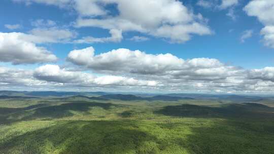 大兴安岭森林自然风景