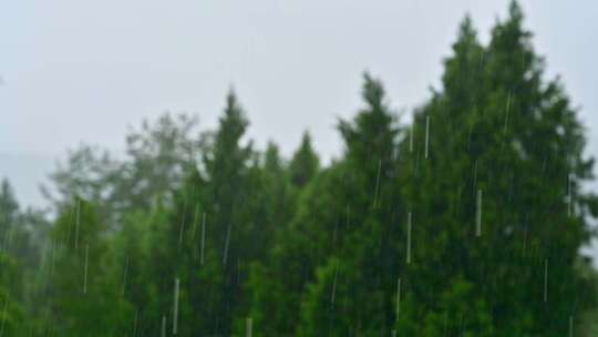 江南雨季雨滴