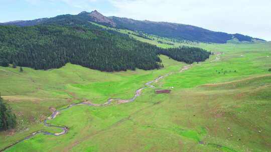 新疆北疆阿勒泰河谷草原夏牧场放牧牧区航拍