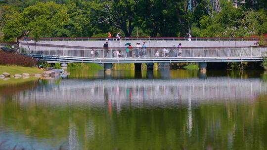 香蜜公园湖畔桥
