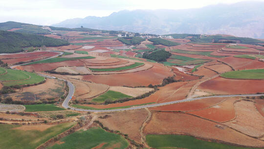云南东川红土地