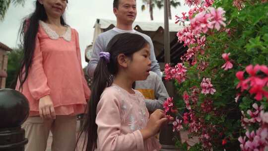 闻花香的小女孩