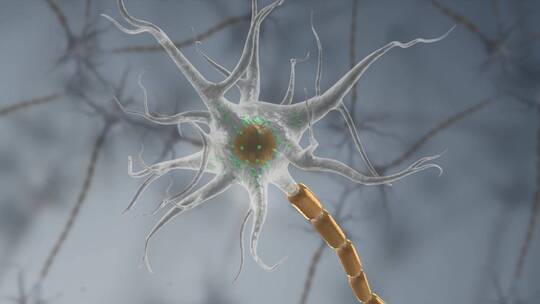 医学神经系统神经元神经细胞三维动画视频素材模板下载