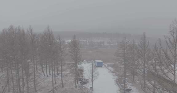 阿尔山冬季第一场雪航拍