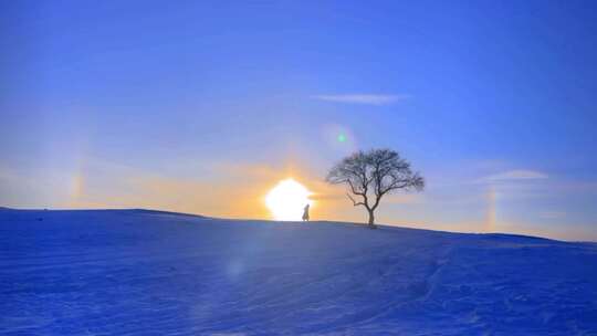 乌兰布统 一棵树 夕阳 人马 雪原