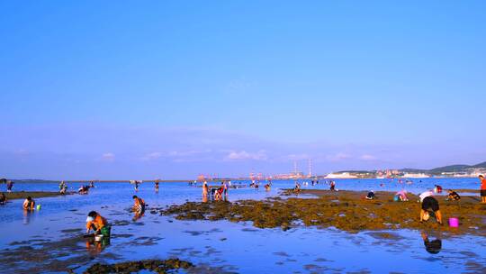 威海海景风光与海边沙滩挖蛤蜊的人群