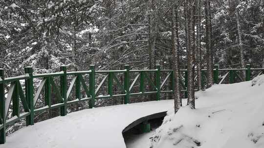 贺兰山金顶雪景视频 (37)