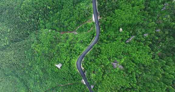 穿过森林的盘山公路