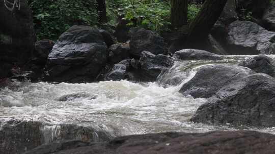 森林中 山泉小溪水