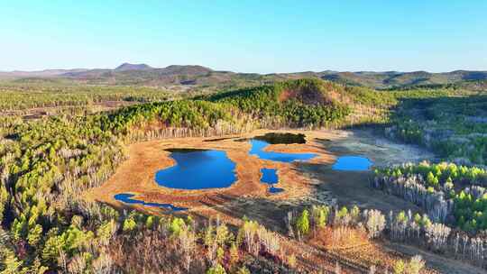 达尔滨湖火山熔岩台地湿地水泡