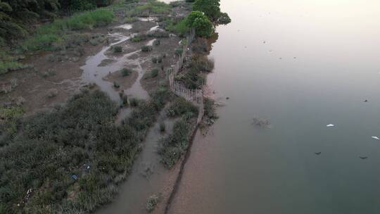 河岸湿地航拍