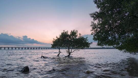 深圳西湾红树林晚霞延时美景