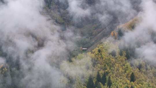 青海互助北山秋景雪山云雾航拍视频