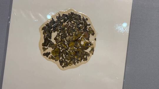 远古植物标本化石视频素材模板下载