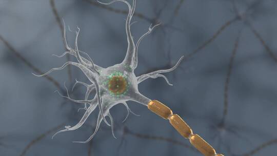 医学神经系统神经元神经细胞三维动画视频素材模板下载