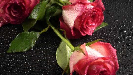桌上摆放的玫瑰花