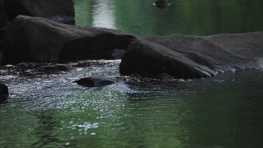 溪水河流乘凉 唯美意境 治愈夏天疗愈白噪音