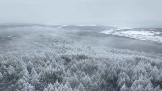 冬季雪山雾凇雪松树挂景观