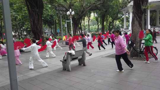 公园晨练人群实拍原素材