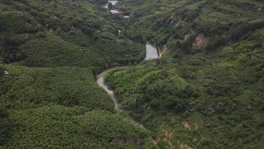 灞桥区鲸鱼沟竹海风景区33