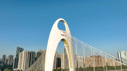 广州猎德大桥视频素材模板下载
